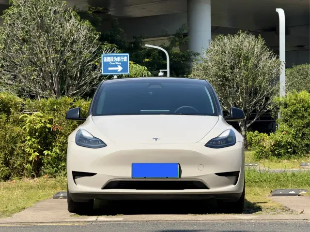 Tesla Model Y — Фото автомобиля 2