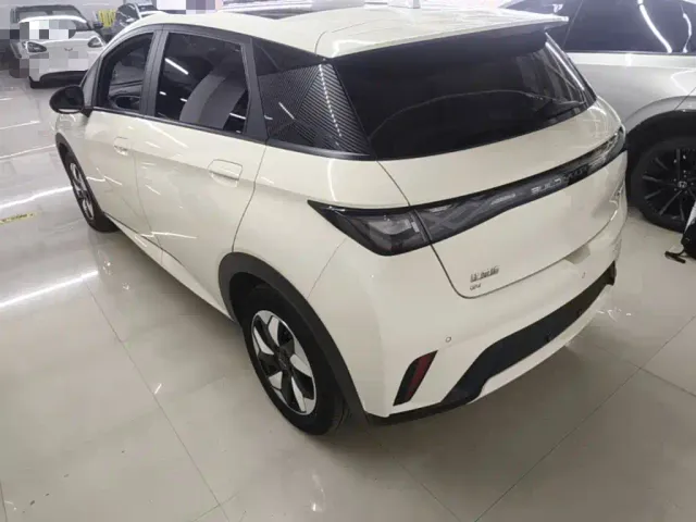 BYD Dolphin — Фото автомобиля 4