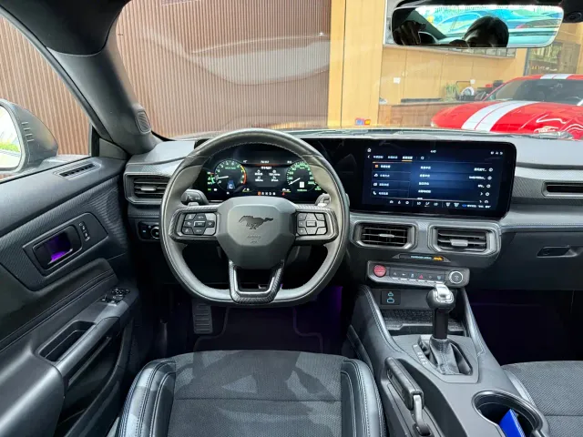 Ford Mustang — Фото автомобиля 19