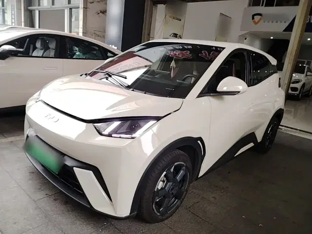Фотография автомобиля — BYD Seagull