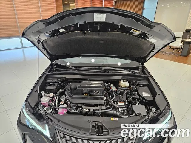 Lexus UX UX300h — Фото автомобиля 6