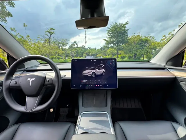 Tesla Model Y — Фото автомобиля 9