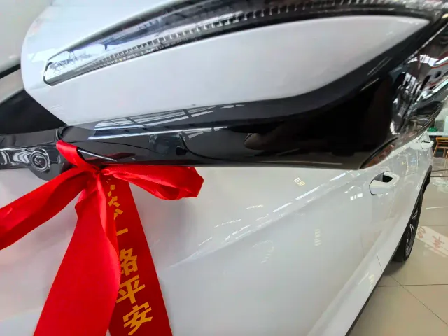 BYD Song Pro — Фото автомобиля 13