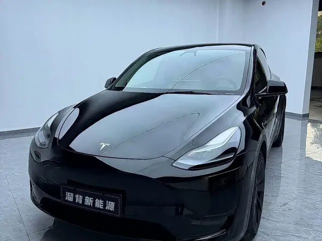 Tesla Model Y — Фото автомобиля 2