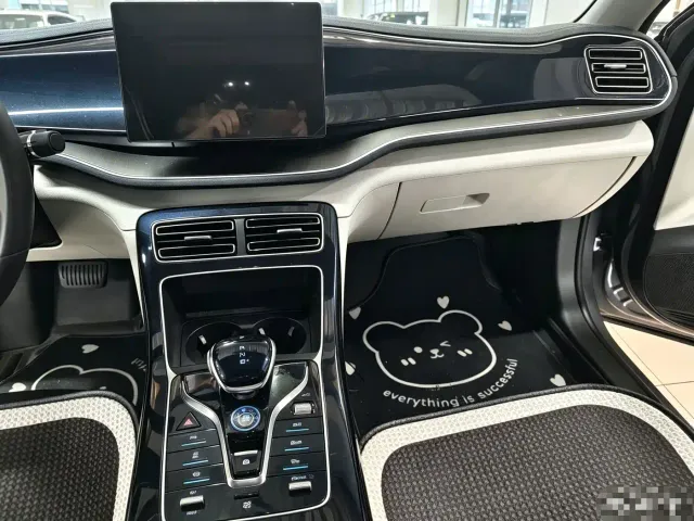 BYD Qin PLUS — Фото автомобиля 9