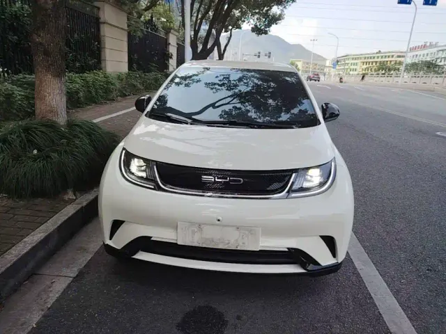 BYD Dolphin — Фото автомобиля 2