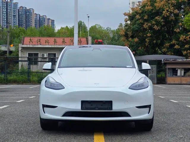 Tesla Model Y — Фото автомобиля 2