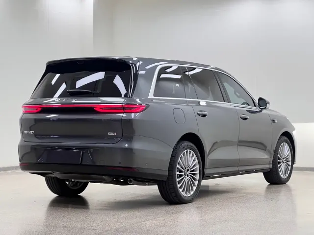 Wey V9X — Фото автомобиля 6