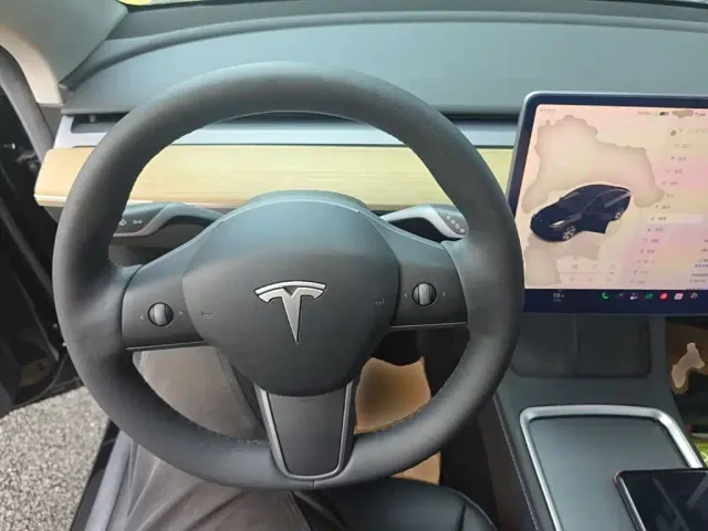 Tesla Model Y — Фото автомобиля 10