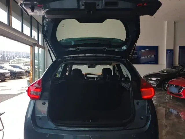 Chery Tiggo 3x — Фото автомобиля 18