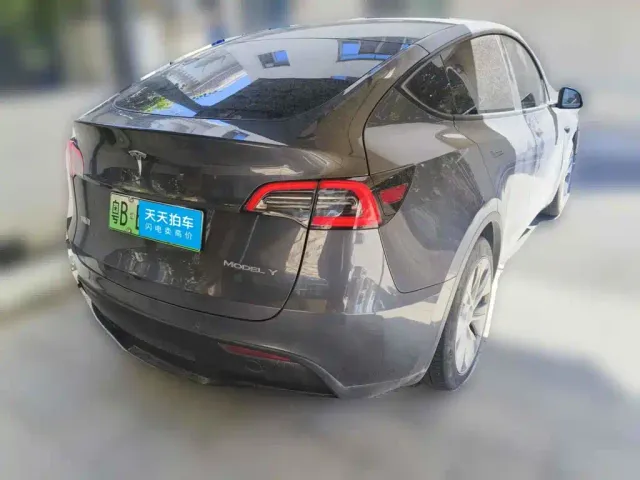 Tesla Model Y — Фото автомобиля 2