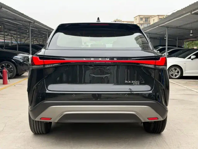Lexus RX — Фото автомобиля 8