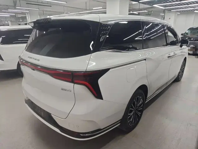 Forthing Xinghai V9 — Фото автомобиля 6