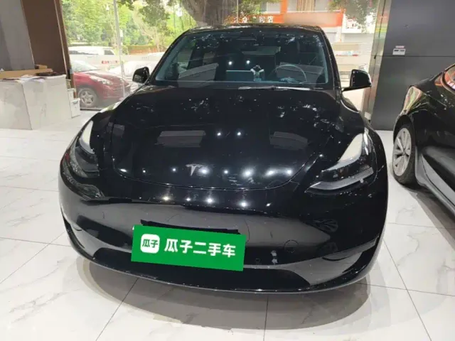 Tesla Model Y — Фото автомобиля 2