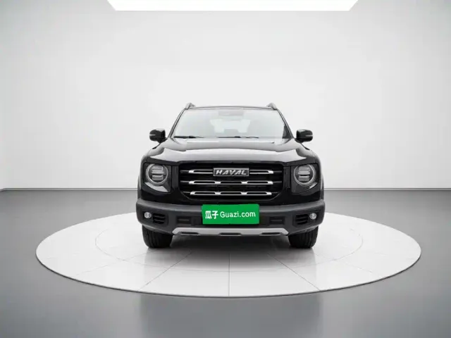 Haval Haval Big Dog 2022 1.5T DCT FWD Border Collie Edition — Фото автомобиля 2