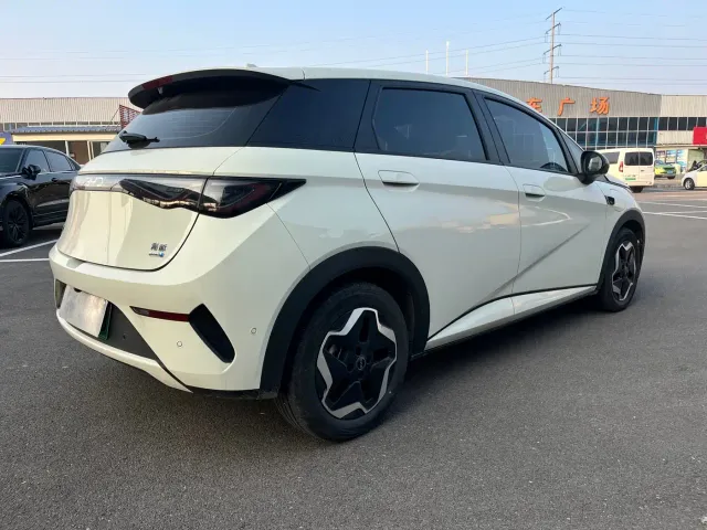 BYD Dolphin — Фото автомобиля 15