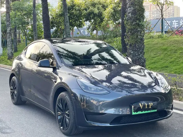 Tesla Model Y — Фото автомобиля 3