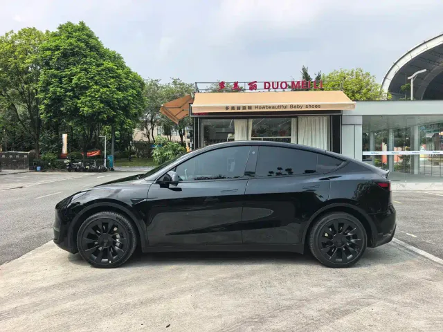 Tesla Model Y — Фото автомобиля 2