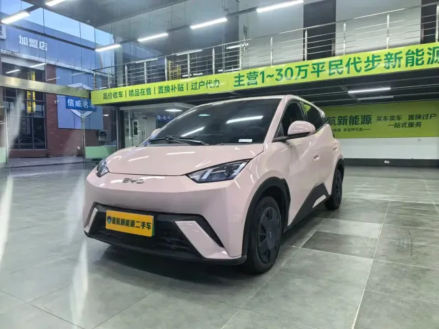 Фотография автомобиля — BYD Seagull
