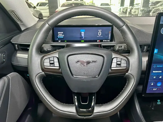 Ford Mustang Mach-E — Фото автомобиля 11