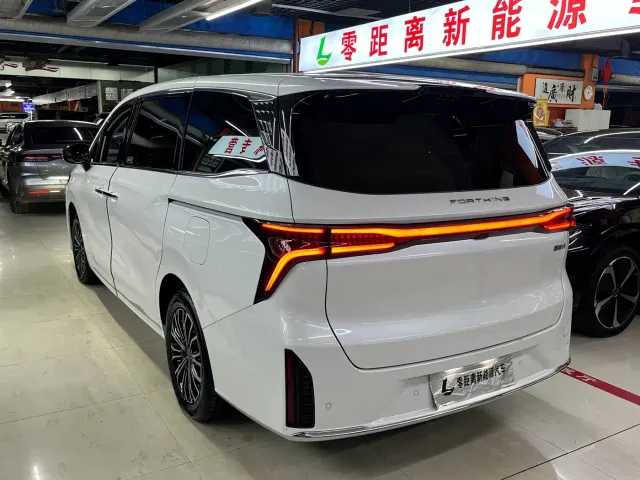 Forthing Xinghai V9 — Фото автомобиля 4