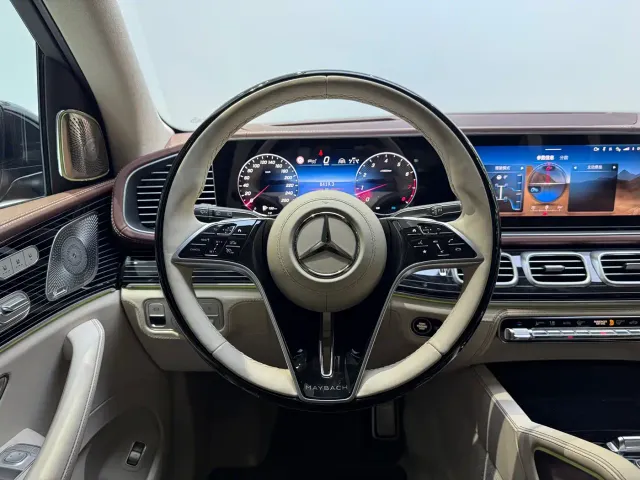 Mercedes-Benz Maybach GLS — Фото автомобиля 17