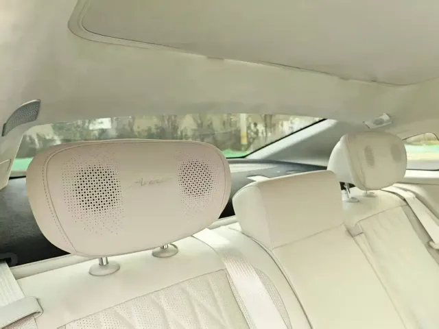 Buick Electra L7 — Фото автомобиля 25
