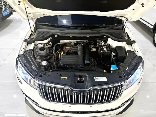 Skoda Karoq — Фото автомобиля 16