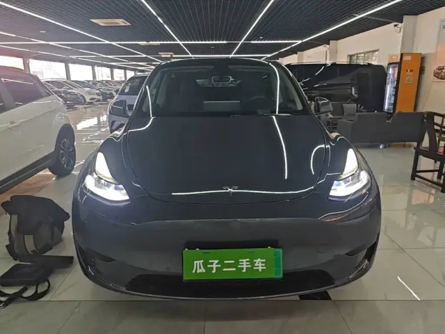 Tesla Model Y — Фото автомобиля 2