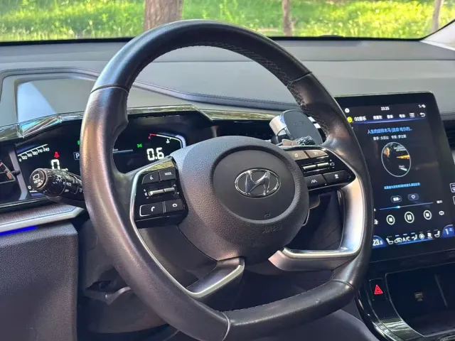 Hyundai Custo — Фото автомобиля 7