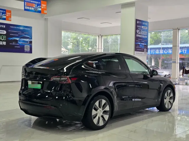 Tesla Model Y — Фото автомобиля 10