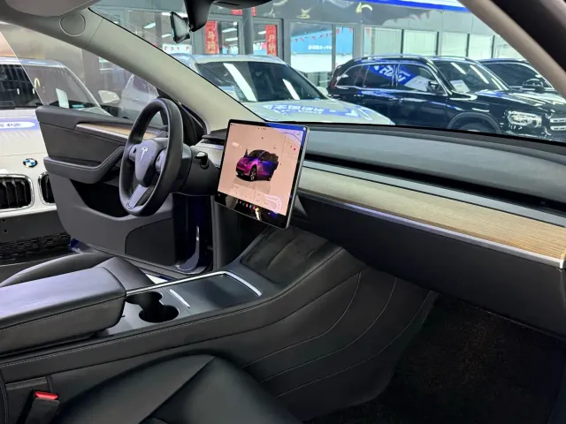Tesla Model Y — Фото автомобиля 10
