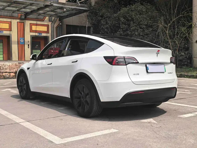 Tesla Model Y — Фото автомобиля 9