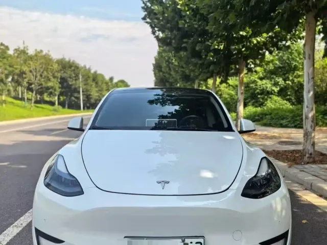 Tesla Model Y — Фото автомобиля 3