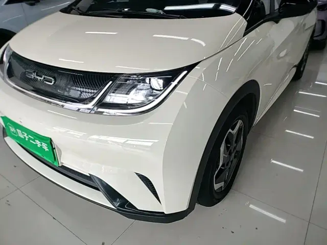 BYD Dolphin — Фото автомобиля 23