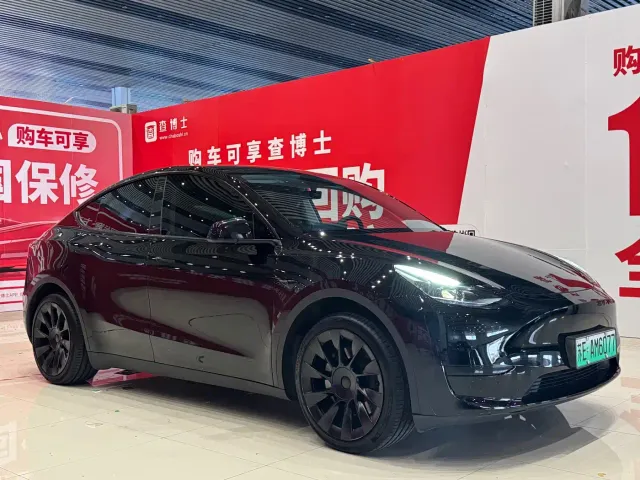 Tesla Model Y — Фото автомобиля 3