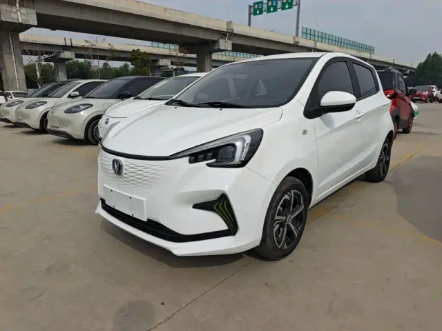 Фотография автомобиля — Changan Benben E-Star