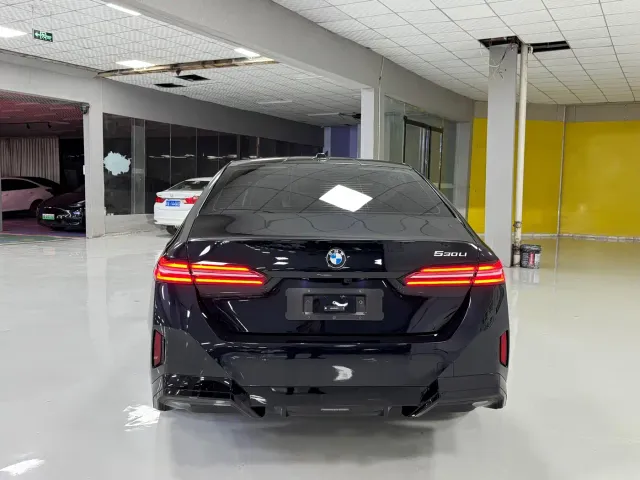 BMW 5 Series — Фото автомобиля 8