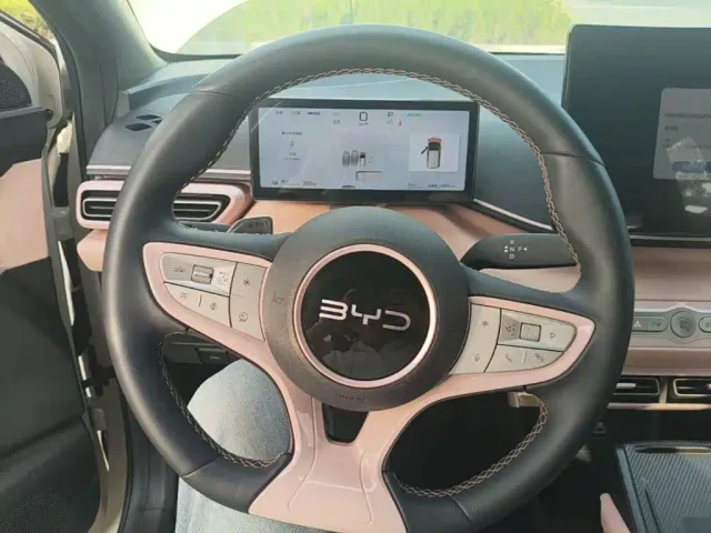 BYD Seagull — Фото автомобиля 10