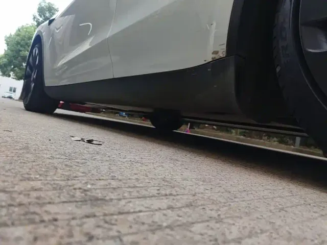 Tesla Model Y 2021 Performance High-Performance AWD — Фото автомобиля 21