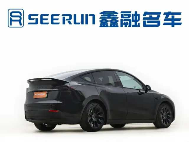 Tesla Model Y — Фото автомобиля 20