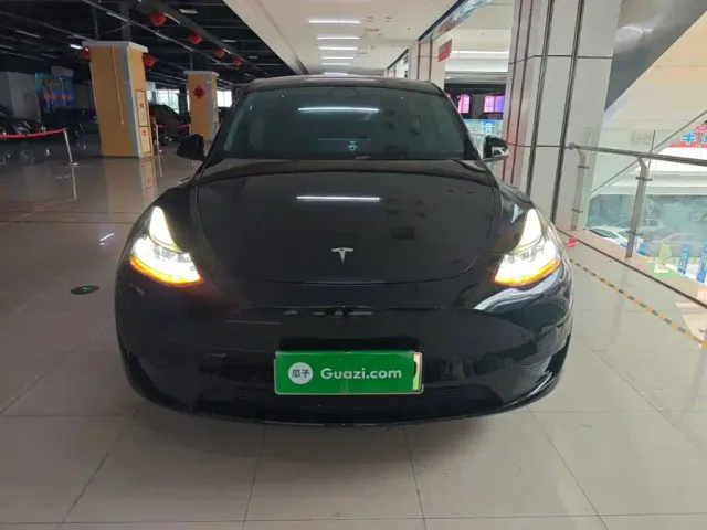 Tesla Model Y — Фото автомобиля 2