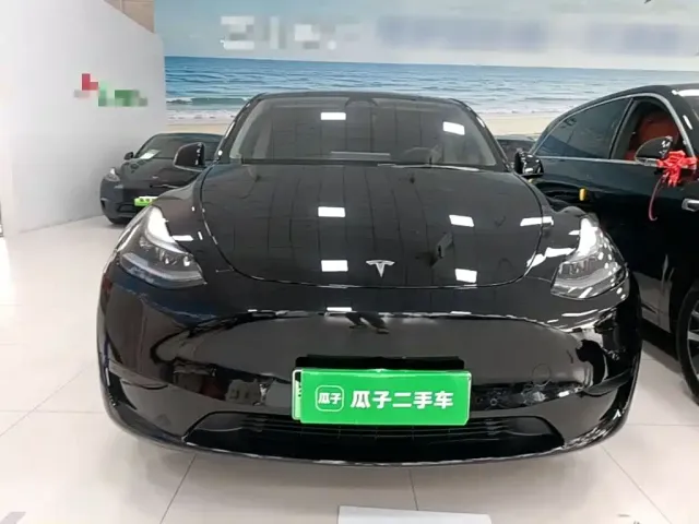 Tesla Model Y — Фото автомобиля 2