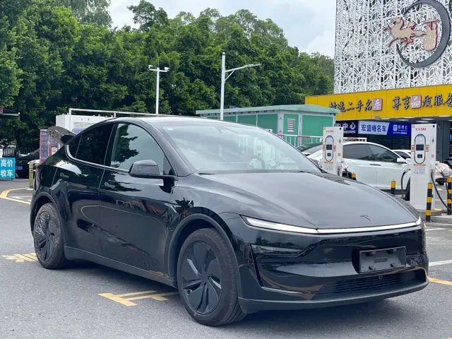 Tesla Model Y — Фото автомобиля 3