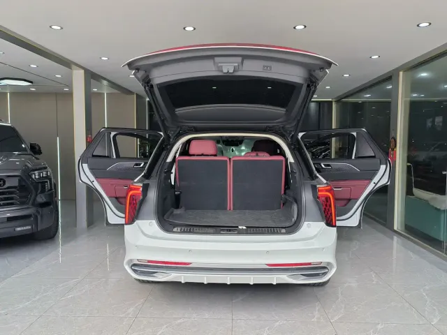 Hongqi E-HS9 — Фото автомобиля 16