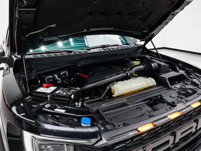 Ford F-150 Raptor — Фото автомобиля 22