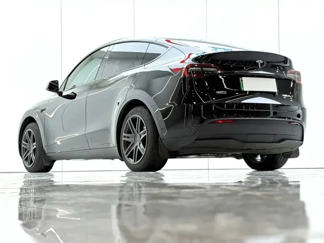 Tesla Model Y — Фото автомобиля 4
