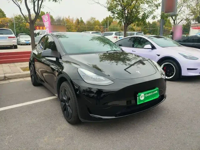 Tesla Model Y — Фото автомобиля 3
