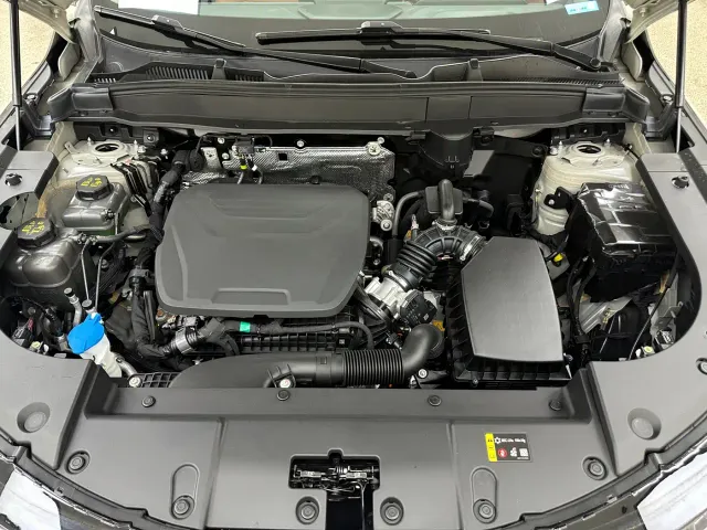 Haval Xiaolong MAX — Фото автомобиля 30