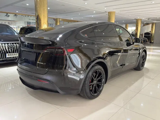 Tesla Model Y — Фото автомобиля 6